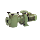 Astral Aral C-3000 Pump 4HP 3 Phase