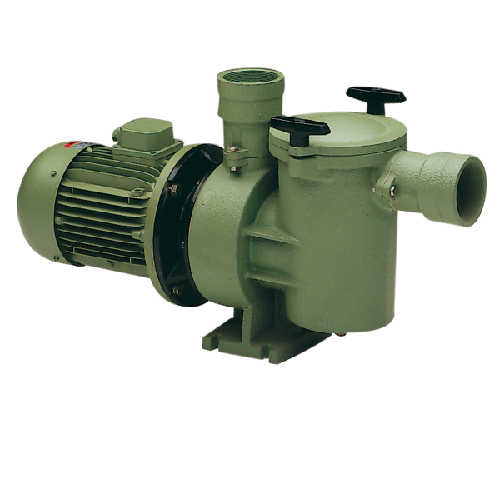 Astral Aral SP-3000 Cast Iron Pump 5.5HP 690V