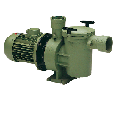 Astral Aral SP-3000 Cast Iron Pump 5.5HP 690V
