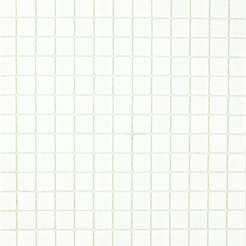 PS25 White 